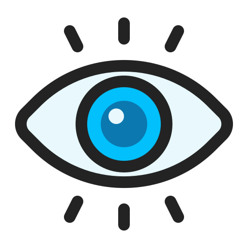Vision